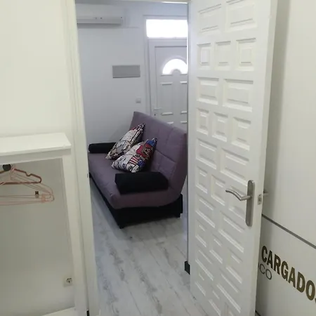 Cigueena 1 Saragoça